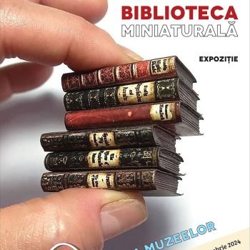 biblioteca mini