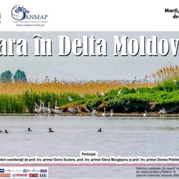vara in delta moldovei