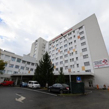 486954475_1039097798251923_8660805349548095770_n