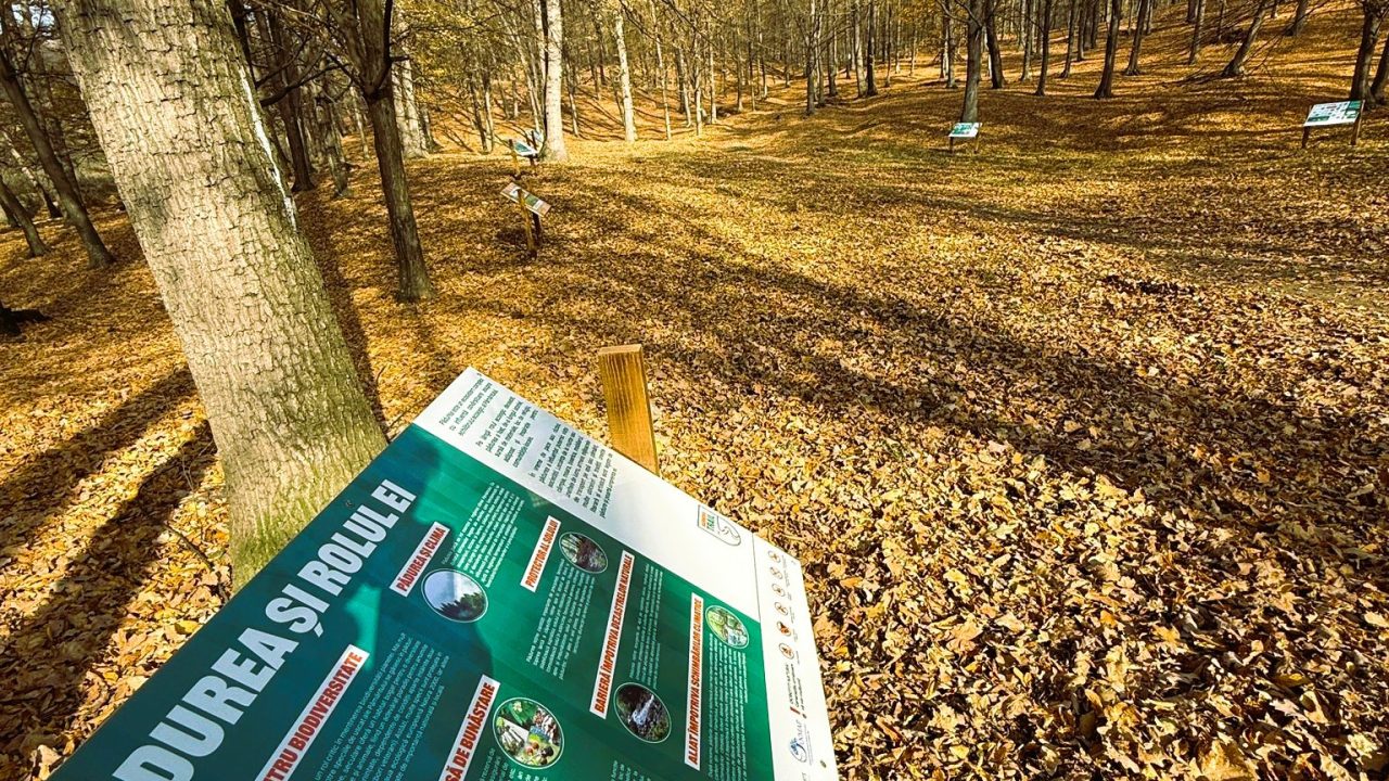 574570816_1272206628269960_8673095545007111882_n