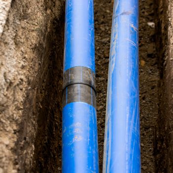 482348120_1115834067009894_6101586987569643631_n