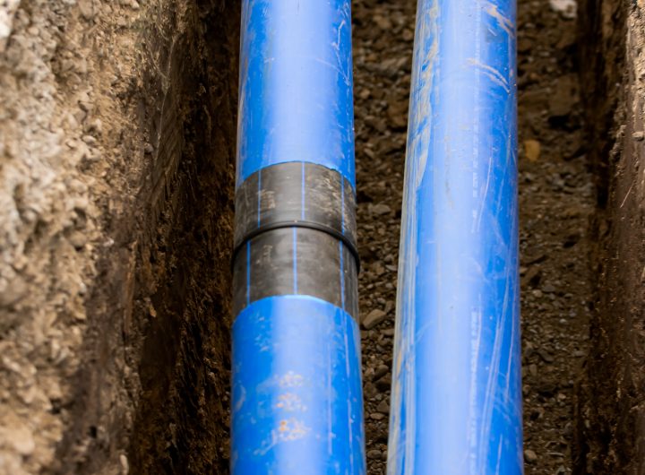 482348120_1115834067009894_6101586987569643631_n