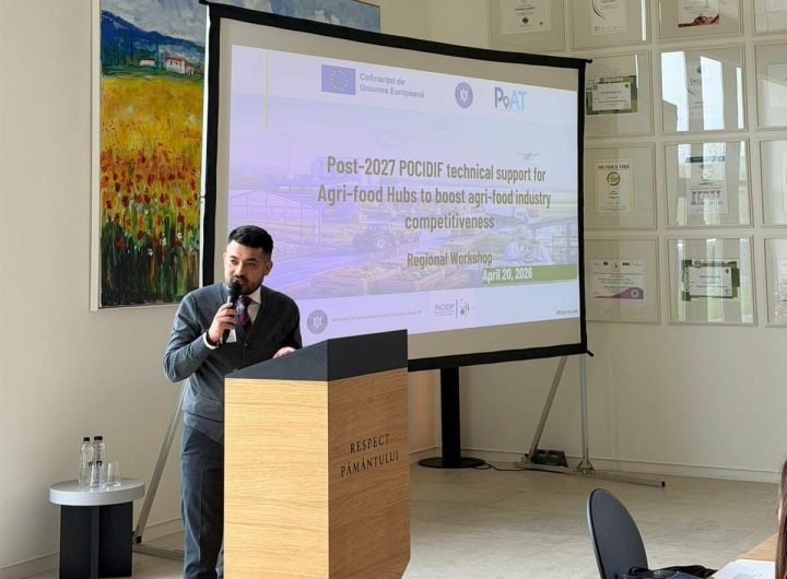 8e3889bf-8019-447f-b2a5-0c66f338de37