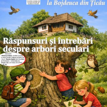1-iunie-bojdeuca