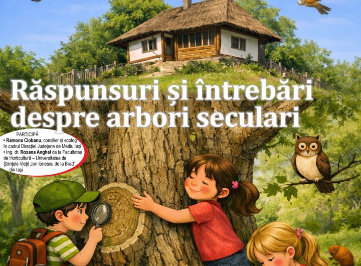 1-iunie-bojdeuca