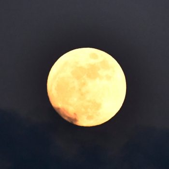 luna