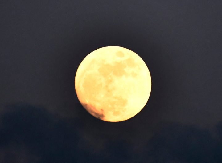 luna