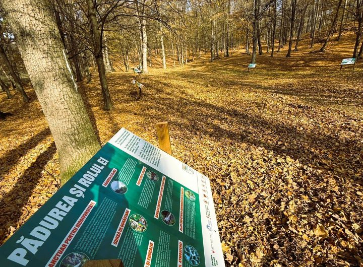 574570816_1272206628269960_8673095545007111882_n