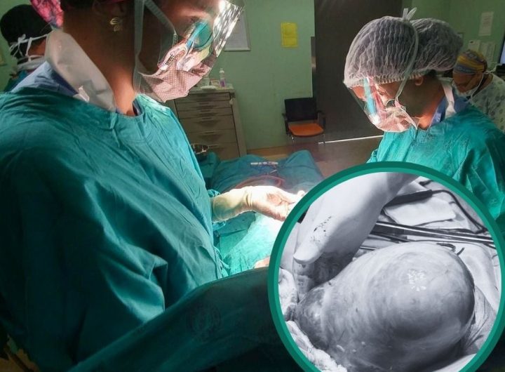 8cca2f1a-a8c2-4586-a2aa-3193288a32d0