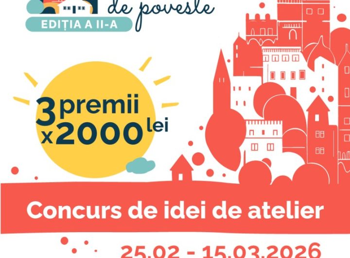 concurs de idei mnlr