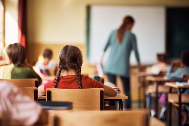 Rear view of schoolgirl and her classmates learning in the classroom.